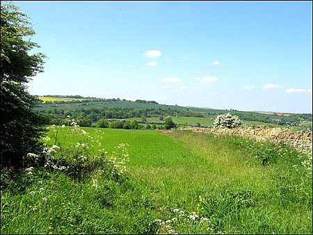 img_4106.jpg